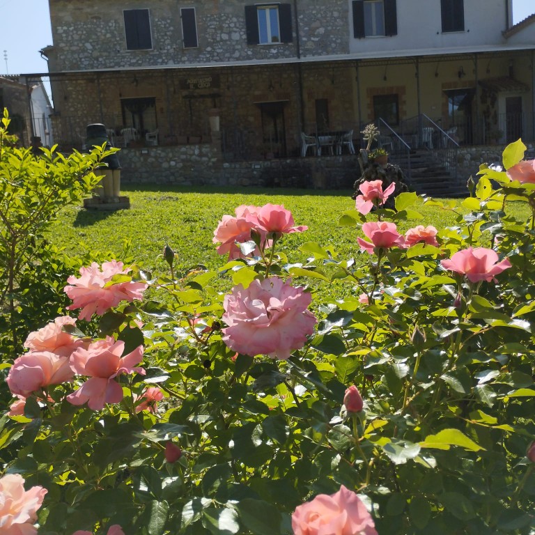 Agriturismo il Giogo - Vista 6